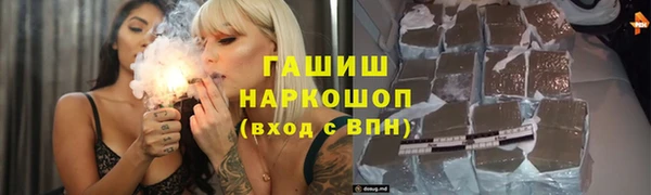 сатива Новодвинск