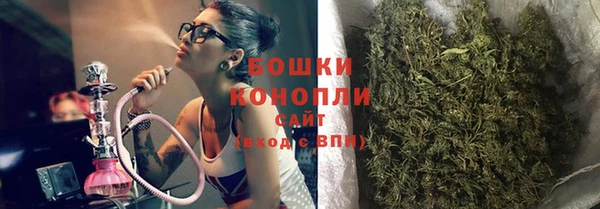 метадон Ельня