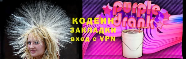 молекула духа Новозыбков