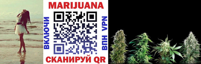 Конопля White Widow  купить  сайты  Оха 
